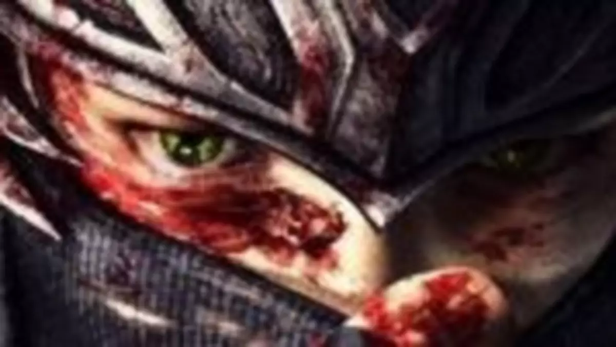 Edycja kolekcjonerska Ninja Gaiden 3 ma figurkę. I jest droga