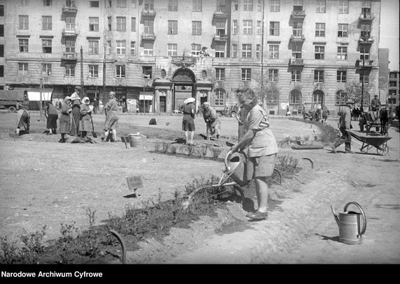 Plac Narutowicza w Warszawie. Porządkowanie skweru. W tle kamienica przy ul. Filtrowej 68 w Warszawie, 1948 r.