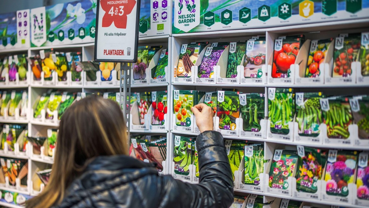 Ovo je zvanično najzdravije povrće na svetu, 150 dinara košta seme za uzgajanje