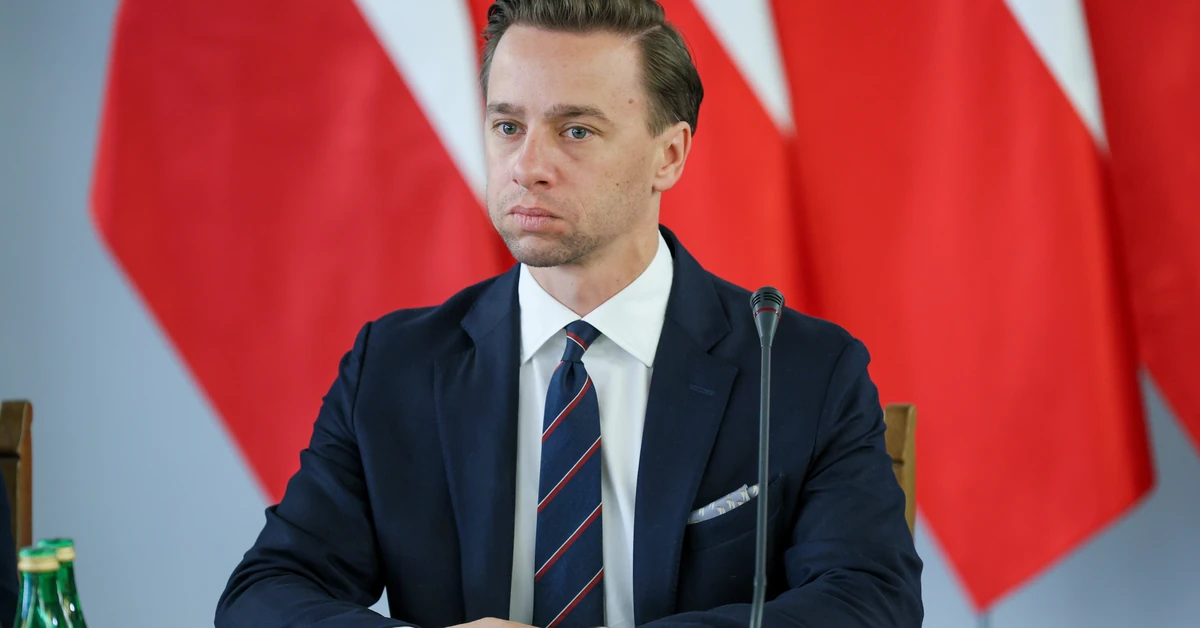 Удар Босака: нет Туску, нет Качиньскому