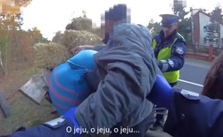 "Ojeju, ojeju". Policyjna interwencja hitem. Oto wideo z kamery na mundurze