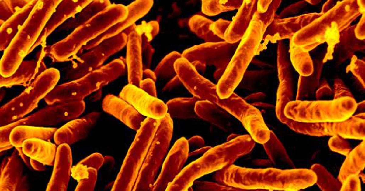 Nigeria has recorded appreciable success on UN TB control mandate - FG - Vimarsana News