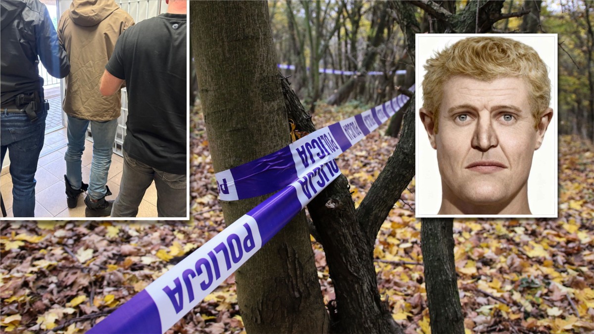 Po ponad 30 latach znaleźli zabójcę. Miał 17 lat, ciało zakopał w lesie