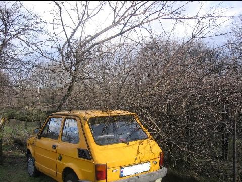 Skutki wichury (małopolska)