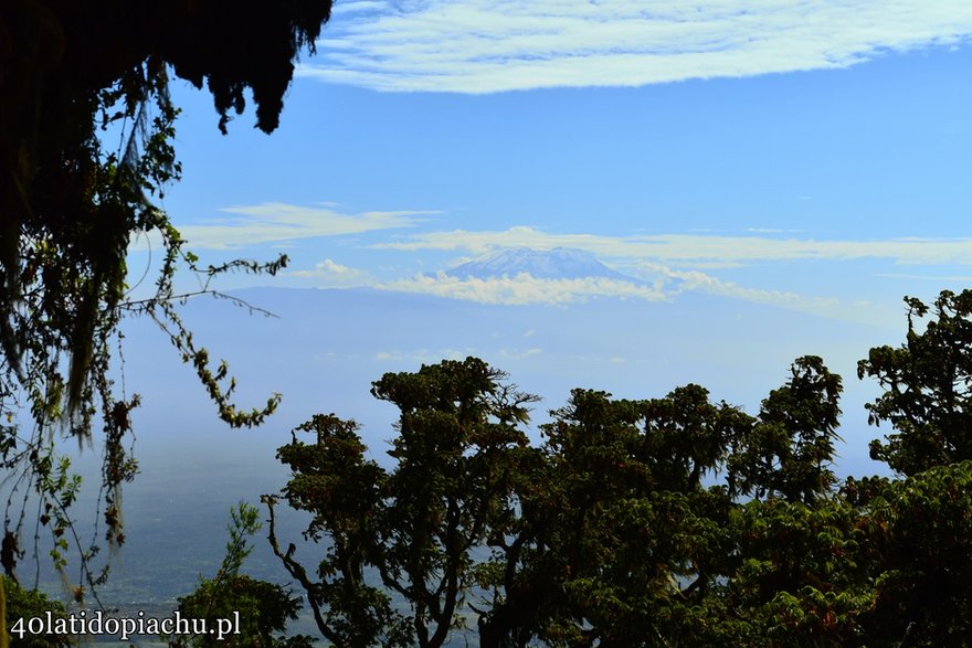 W drodze na Mount Meru, Tanzania 2021