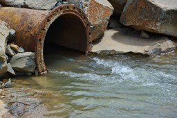 Koronawirus w paryskich ujęciach wody do mycia ulic i podlewania ogrodów