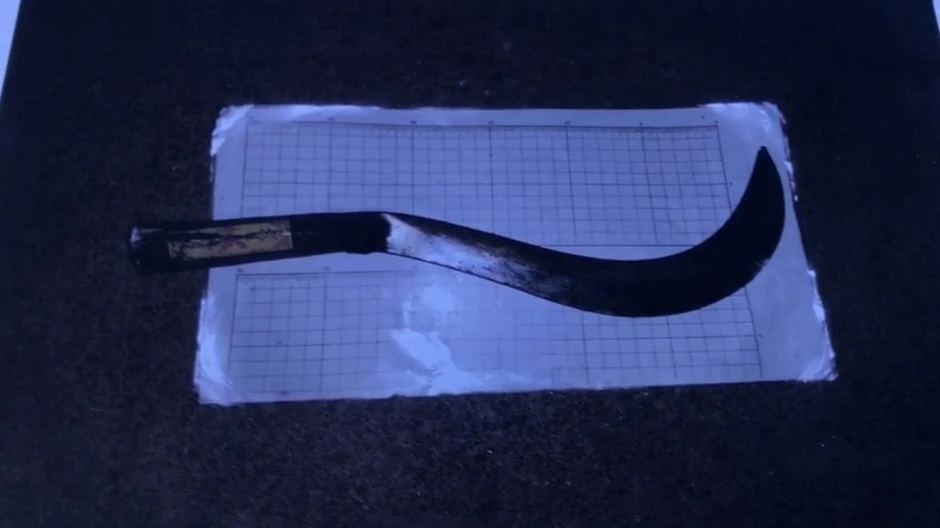 Tajlanđanin ubio Britanca srpom 