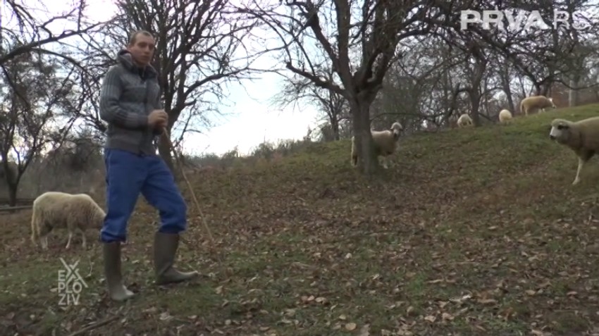 Život na selu u doba korone