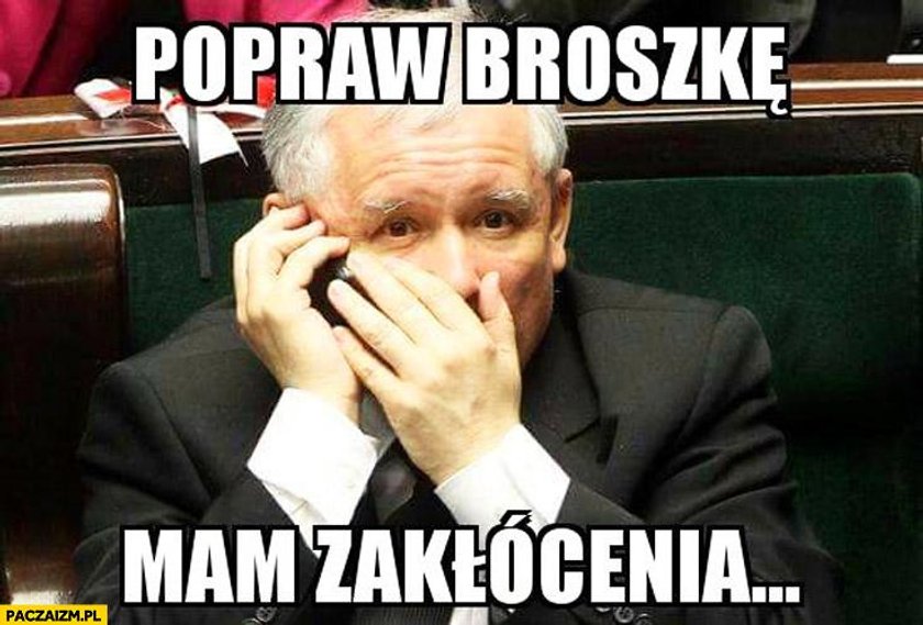 Pół roku rządu Szydło