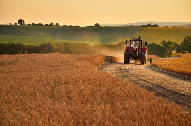 Żywność tradycyjna, regionalna wytwarzana przez lokalnych producentów jest jednym z ważnych elementów promocji województwa podlaskiego. Bazę tych produktów można znaleźć np. na stronie www.produkty.wrotapodlasia.pl.