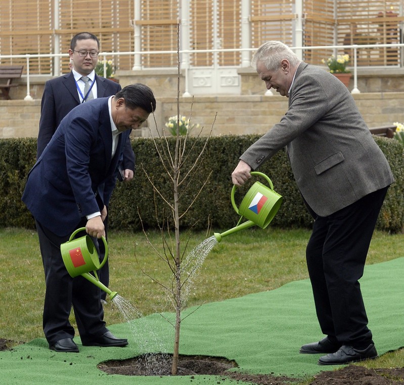 Xi Jinping i Milosz Zeman