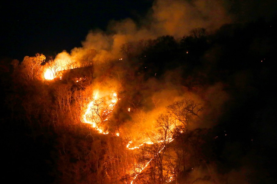 Liczba pożarów lasów w Brazylii między styczniem a sierpniem 2019 r. była o ponad 80 proc. większa niż rok wcześniej