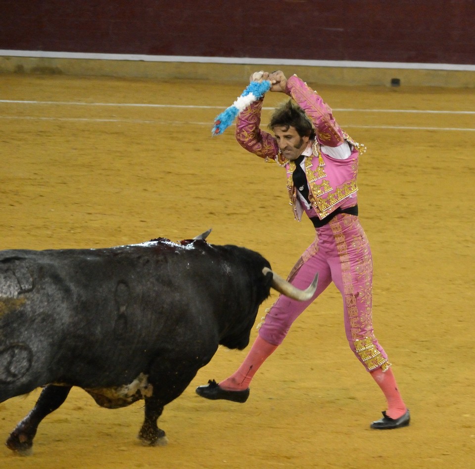 Bullfighter Juan Jose Padilla