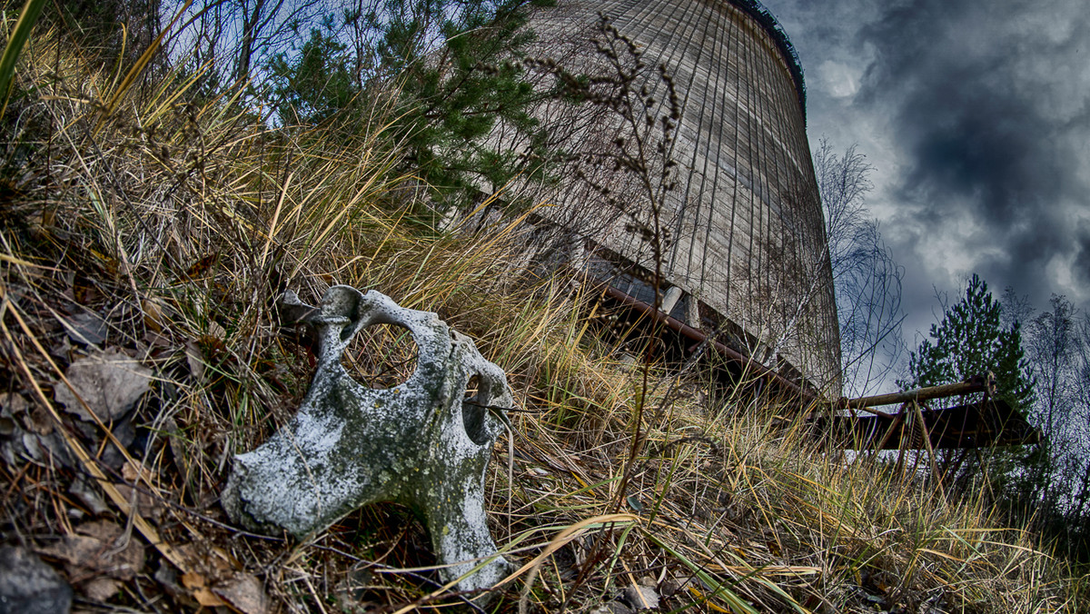 Przewidywany czas eksploatacji Obiektu "Ukrycie", czyli sarkofagu nad zniszczoną elektrownią atomową w Czarnobylu, zbliża się do końca. W październiku zakończyła się budowa "Arki", międzynarodowego przedsięwzięcia, która przykryje stary sarkofag. Pierwszy schron, który izolował materiał radioaktywny od otoczenia, był przewidziany na maksimum 30 lat. Arka ma wytrzymać 100.
