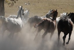 Zaufanie, na które pracowano przez dekady, wyparowało.