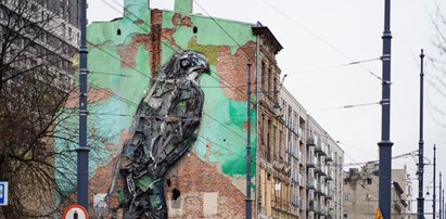 Łódź pożegnała kultowy mural Portugalczyka Bordalo II. Jerzyk odleciał na zawsze, ale kamienica przy Kilińskiego jeszcze powróci.