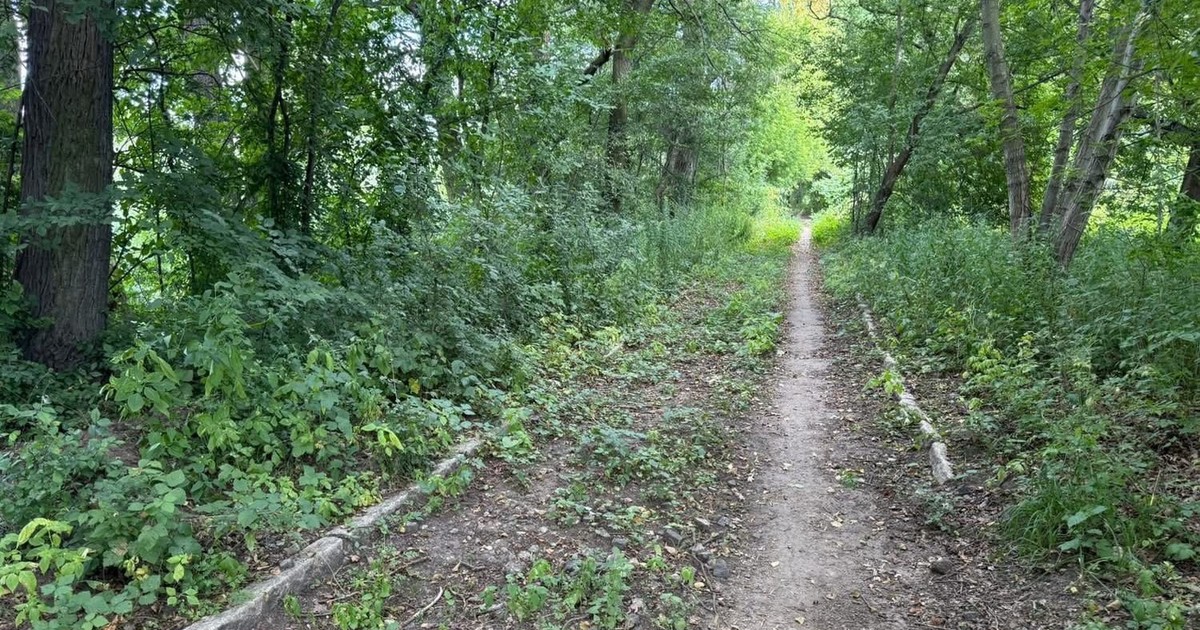 Droga przez Bobrowisko to pomysł mieszkańców!