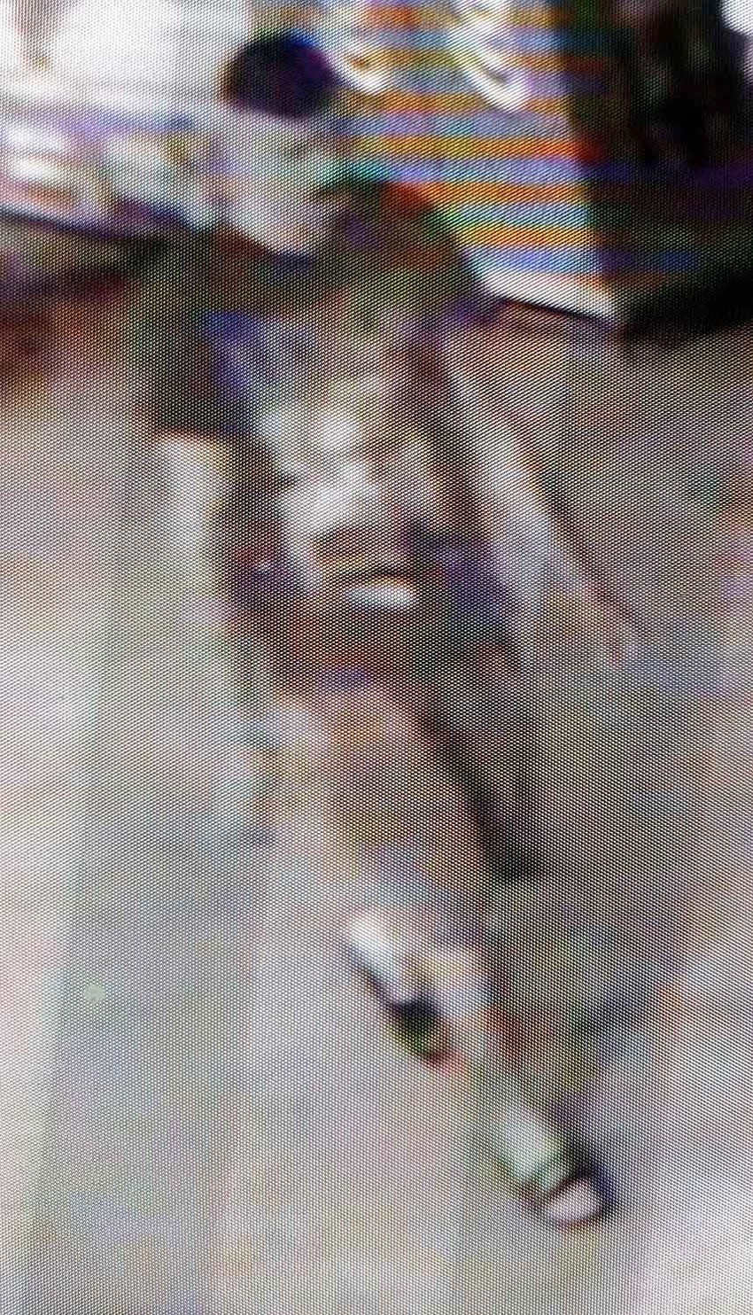 Policija traga za ovim muškarcem