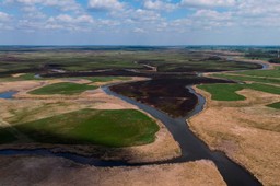 Weto dla trasy Via Carpatia na bagnach