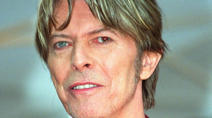 David Bowie 2016. január 10-én hunyt el /Fotó: Northfoto