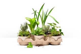 Opakowania ekologiczne