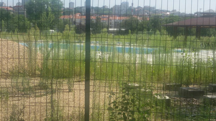 Samo se naziru bazeni od korova na Adi