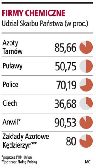 Na konsolidację sektora chemicznego stać tylko Azoty z Puław i PGNiG