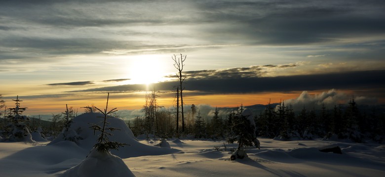 Nocna akcja GOPR w Beskidzie Sądeckim. Turyści utknęli w rejonie Złomistego Wierchu