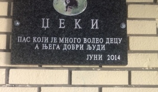 pas Džeki
