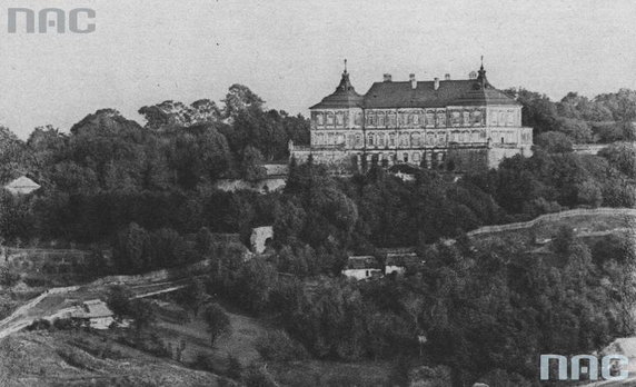 Panorama zamku Podhorce i okolicy