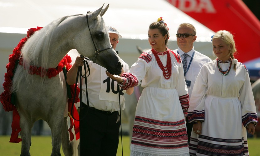 Sierpniowa aukcja wyznacza rytm życia stadnin - rok dzieli się na okresy: ,,do aukcji'' i ,,po aukcji''. Jednak kupić konie można zawsze
