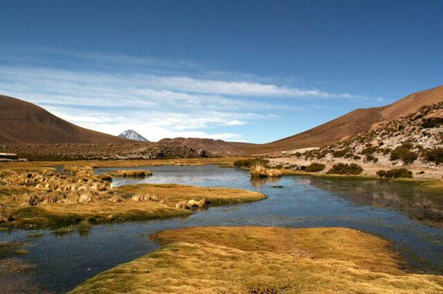 Galeria Chile - Atacama, obrazek 57