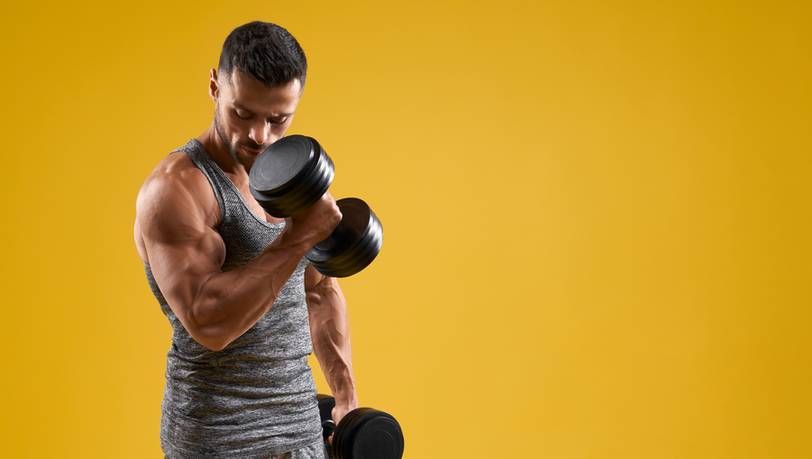 Beliebte Hantel-Sets im Vergleich für Muskelaufbau und gesunde Fitness