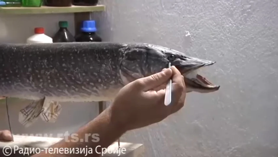 Nenad Lovrenski i njegovo remek delo