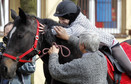 Koń do hipoterapii dla szkoły w Sosnowcu