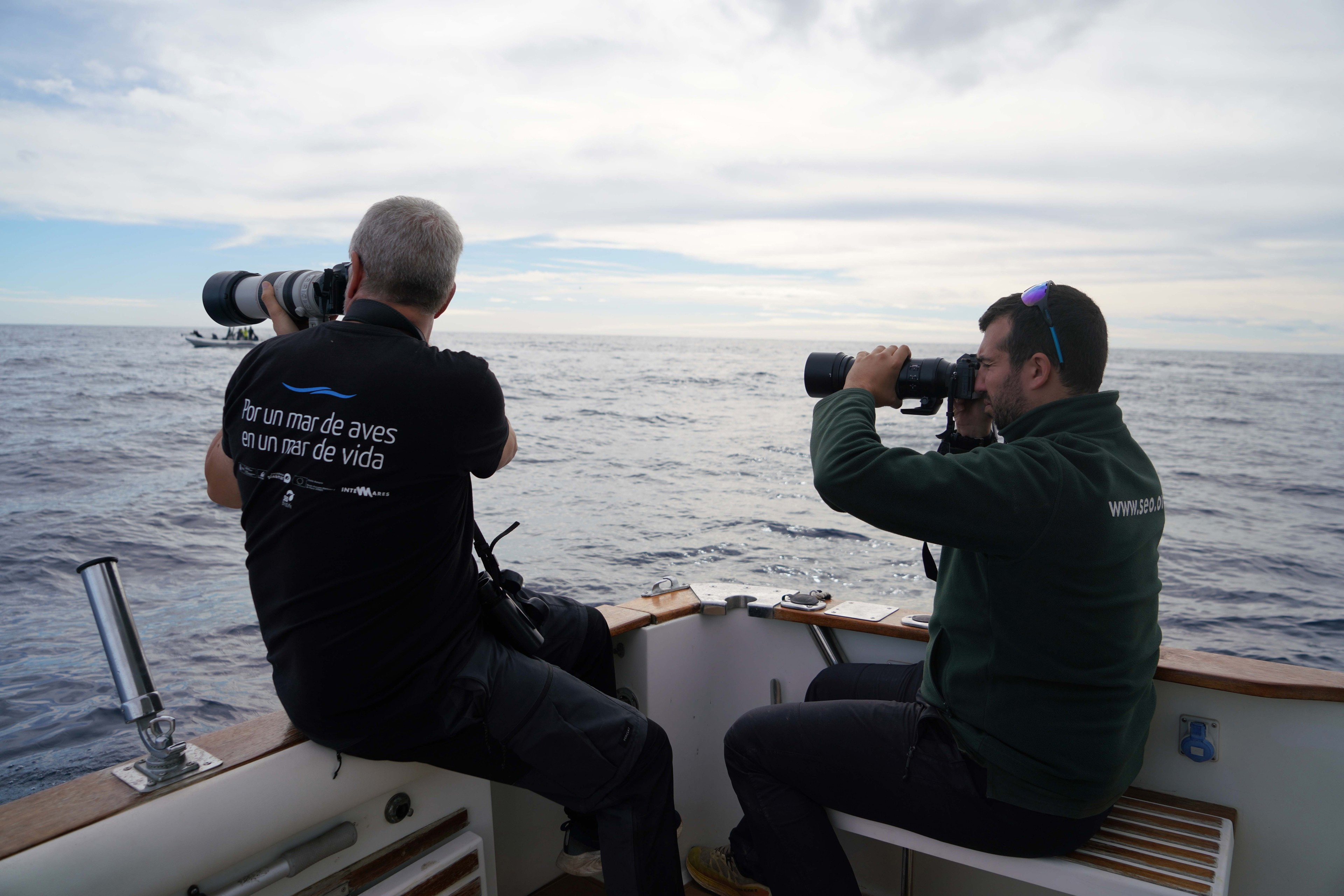 Pescadores deportivos se alían con ornitólogos para salvar aves en el Mediterráneo