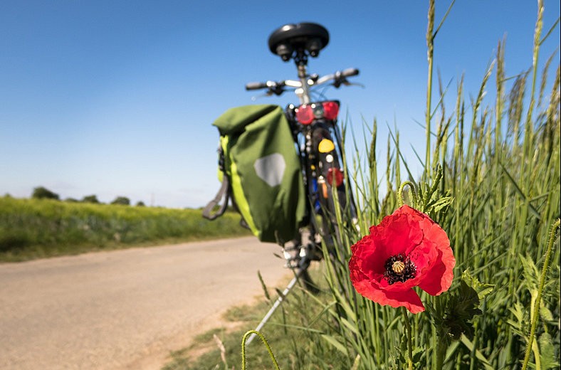 Szlaki rowerowe na Mazurach