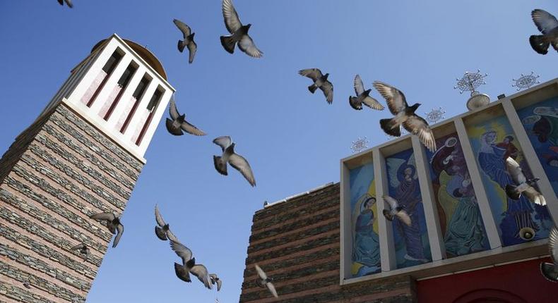 Pigeons fly outside the Nda Mariam Orthodox Cathedral in Eritrea's capital Asmara, February 16, 2016. REUTERS/Thomas Mukoya