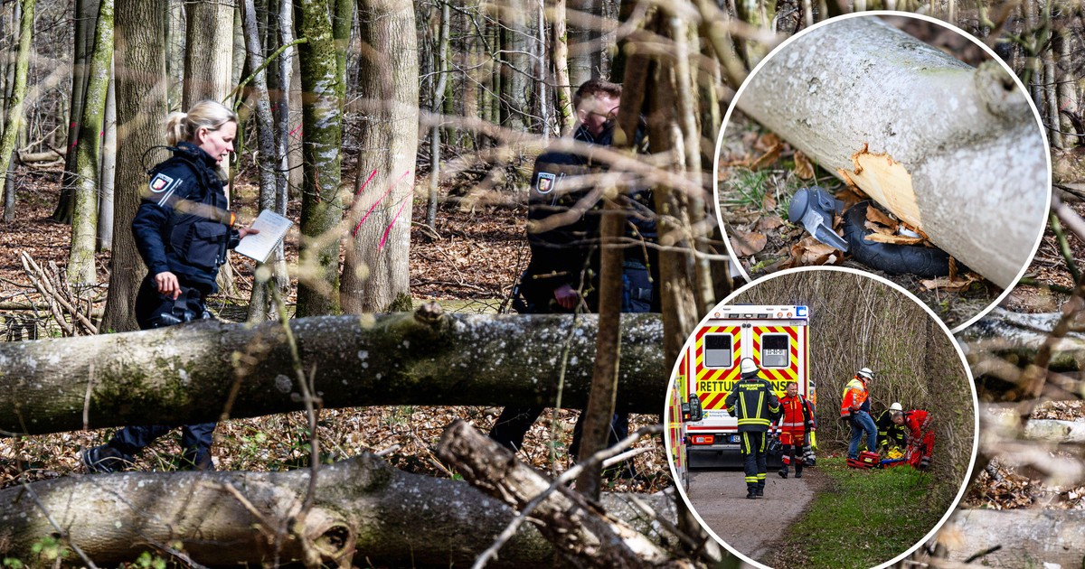 Tragedia w lesie podczas poszukiwania pisanek. Ofiary zidentyfikowane