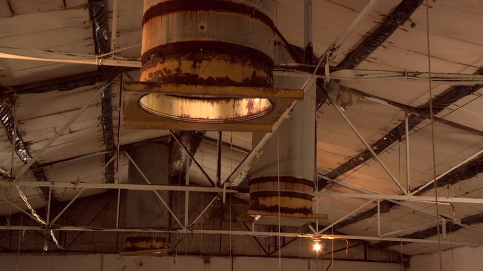 Kristijan Golubović