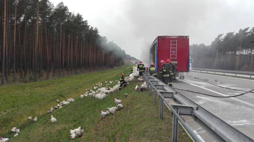 Pożar na A2