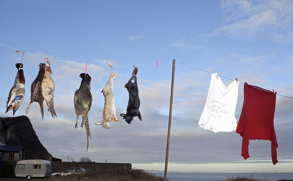 A duck, pheasants and rabbits hang from a clothes line before being plucked, skinned and frozen at Garron Point near the village of Carnlough in Northern Ireland, January 18, 2010. REUTERS/Cathal McNaughton