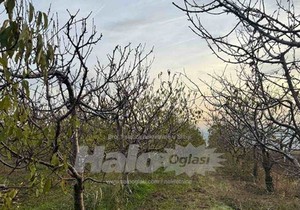 Hitno se prodaje plac pored vinarije Šapat u Starom Slankamenu