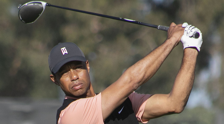 Tiger Woods nem tudott lábra állni autóbalesete után / Fotó: Northfoto