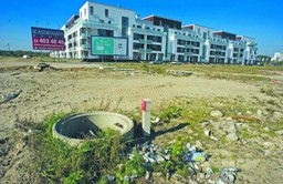 Racjonalizm jest potrzebny i władzy, i biznesowi