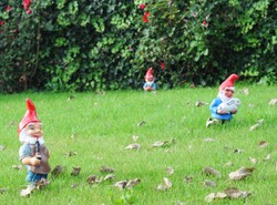 Wrocław idzie do sądu. Przez krasnala