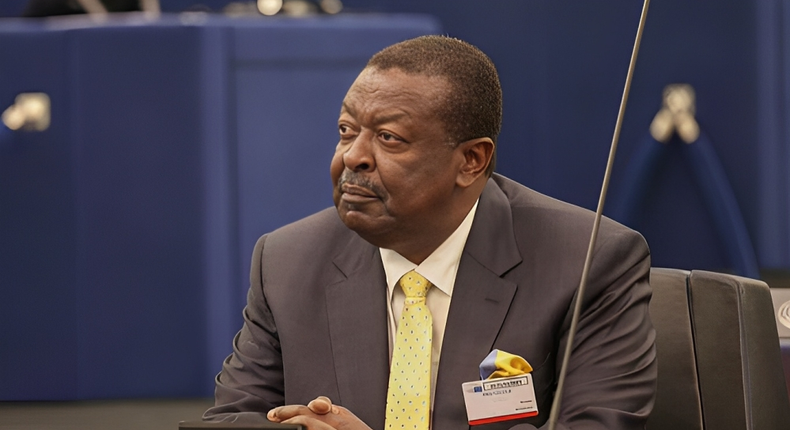 Kenya's Diaspora Cabinet Secretary Musalia Mudavadi