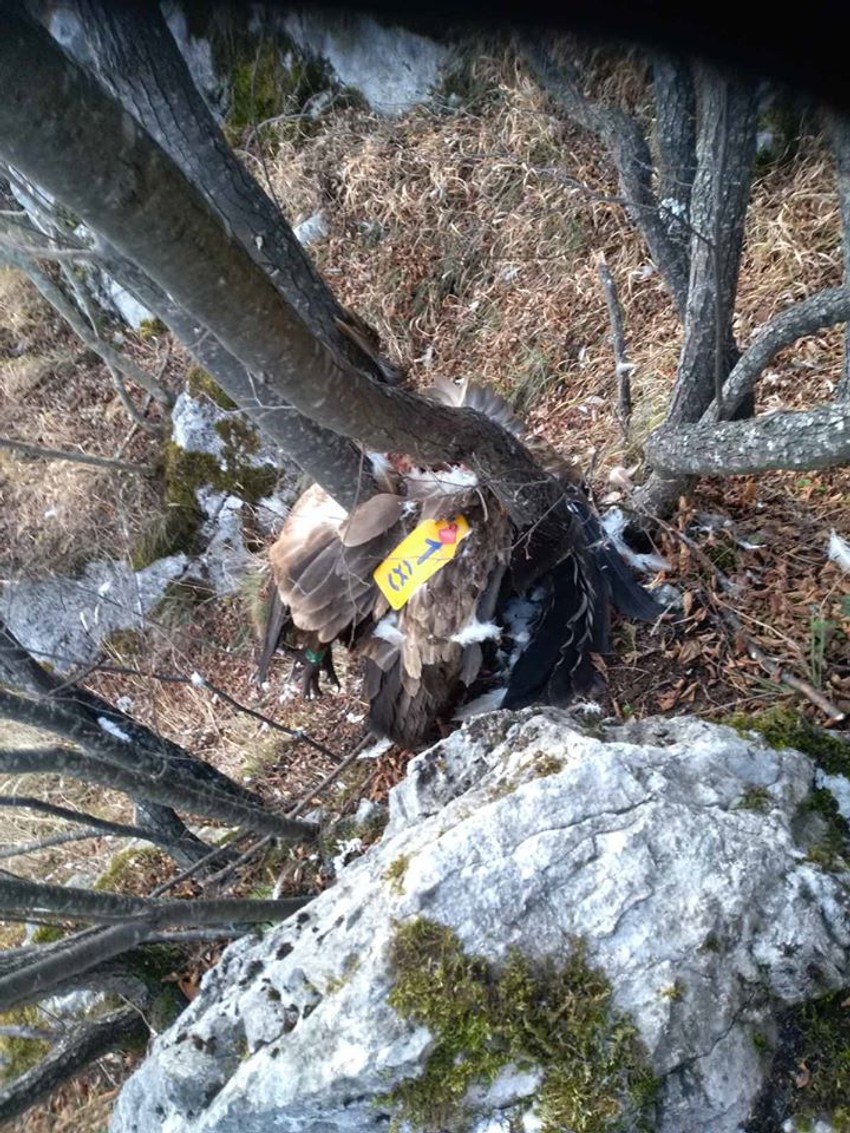 Ne zna se uzrok smrti