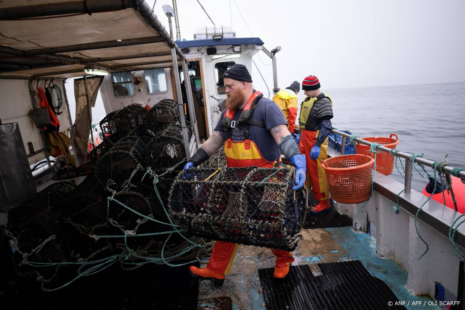 EU stelt visquota 2026 vast: meer tong en zeebaars, minder haring