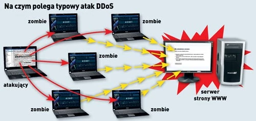 DDoS - ang. Distributed Denial of Service, można przetłumaczyć jako rozproszony atak w celu zablokowania usługi. Cyberprzestępcy przeważnie przeprowadzają taki atak, używając komputerów przypadkowych internautów (tak zwanych komputerów zombie), na których zainstalowane jest oprogramowanie to umożliwiające (oczywiście bez wiedzy użytkownika). Po wydaniu komendy przez atakującego komputery zombie wielokrotnie łączą się z atakowaną stroną, co powoduje przeciążenie serwera przechowytującego witrynę, a tym samym zablokowanie serwisu.